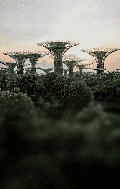 SINGAPORE